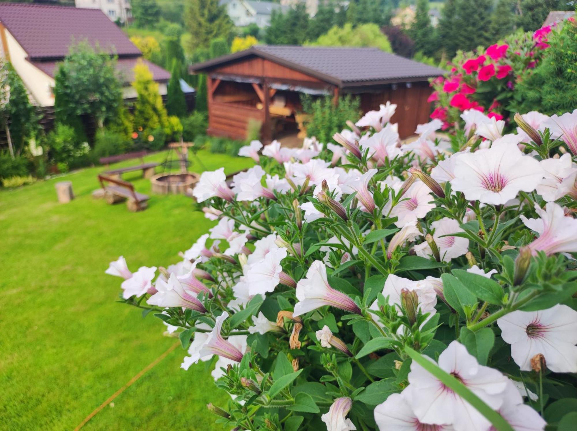 JankowceDom Kowala别墅 外观 照片